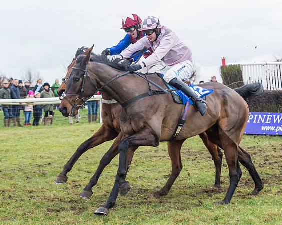 Race 7 - Alan King Racing Mixed Open (132 of 246)
