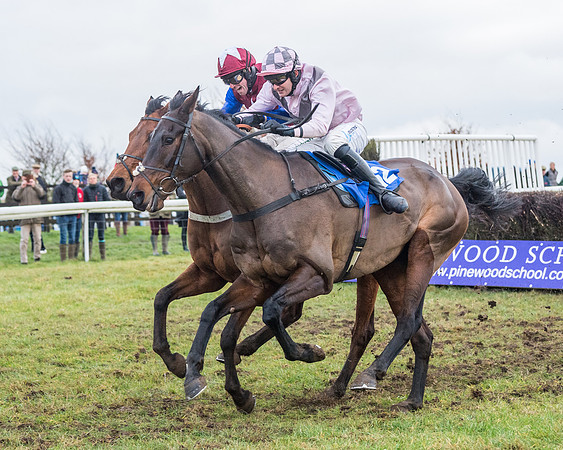 Race 7 - Alan King Racing Mixed Open (131 of 246)