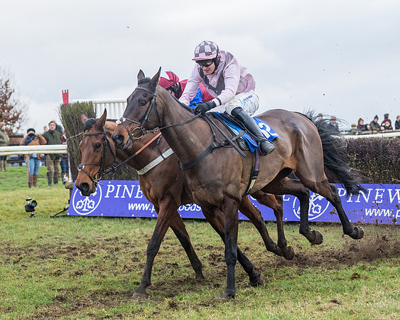 Race 7 - Alan King Racing Mixed Open (128 of 246)