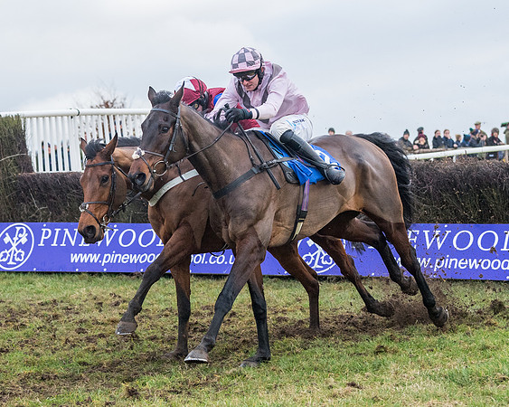 Race 7 - Alan King Racing Mixed Open (127 of 246)