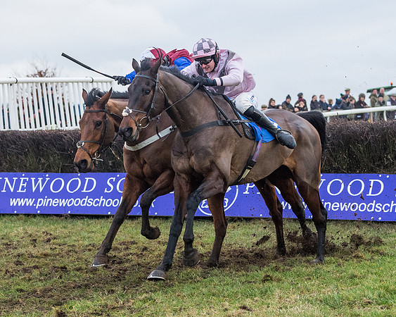 Race 7 - Alan King Racing Mixed Open (126 of 246)