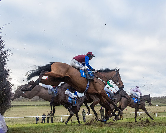Race 7 - Alan King Racing Mixed Open (93 of 246)