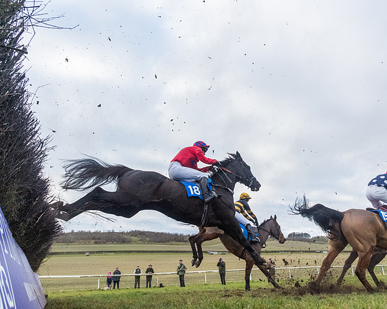 Race 7 - Alan King Racing Mixed Open (58 of 246)