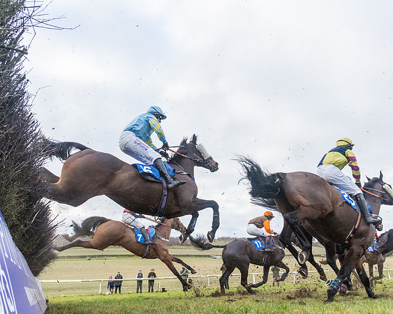 Race 7 - Alan King Racing Mixed Open (52 of 246)