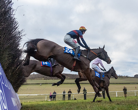 Race 7 - Alan King Racing Mixed Open (39 of 246)