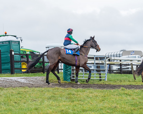 Race 7 - Alan King Racing Mixed Open (2 of 246)