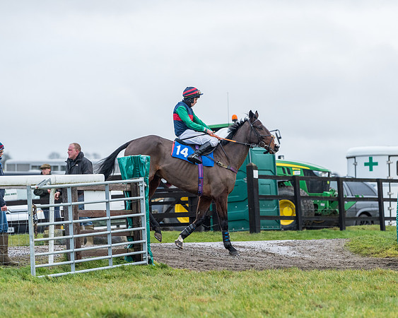 Race 7 - Alan King Racing Mixed Open (1 of 246)