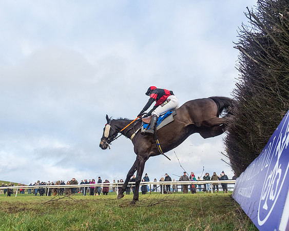 Race 6 - Jockey Club and ROR veteran Horse conditions Race. Division 2   (119 of 149)