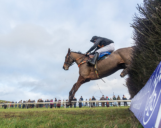 Race 6 - Jockey Club and ROR veteran Horse conditions Race. Division 2   (111 of 149)