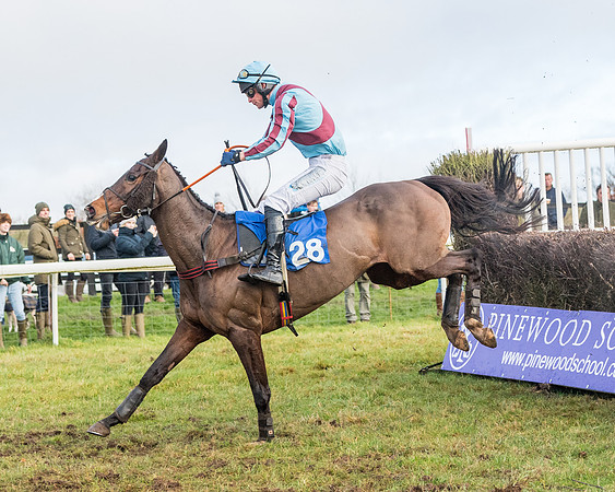 Race 6 - Jockey Club and ROR veteran Horse conditions Race. Division 2   (94 of 149)
