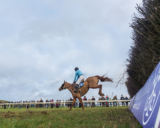Race 6 - Jockey Club and ROR veteran Horse conditions Race. Division 2   (88 of 149)