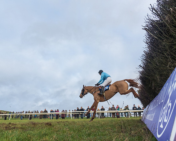 Race 6 - Jockey Club and ROR veteran Horse conditions Race. Division 2   (87 of 149)