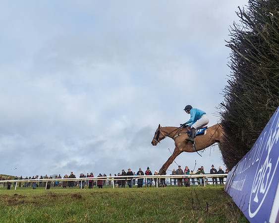 Race 6 - Jockey Club and ROR veteran Horse conditions Race. Division 2   (86 of 149)