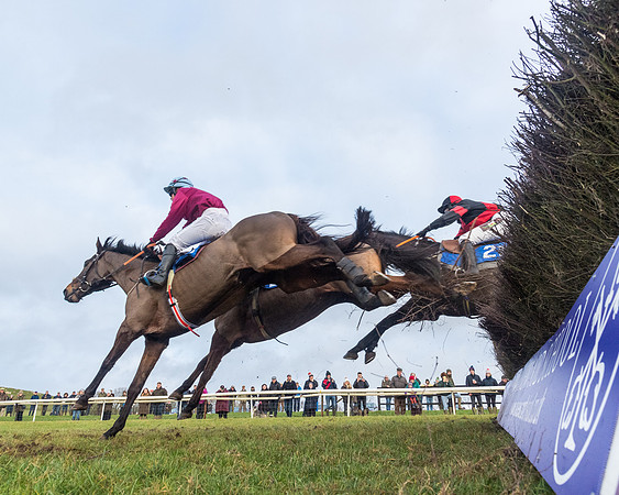 Race 6 - Jockey Club and ROR veteran Horse conditions Race. Division 2   (77 of 149)