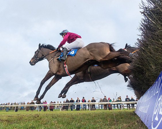 Race 6 - Jockey Club and ROR veteran Horse conditions Race. Division 2   (76 of 149)