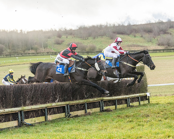 Race 6 - Jockey Club and ROR veteran Horse conditions Race. Division 2   (56 of 149)