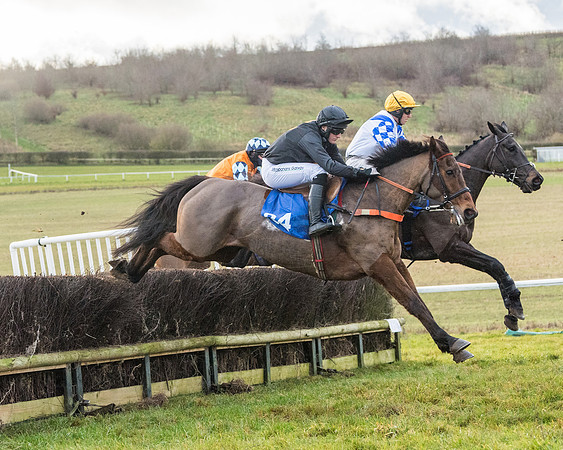 Race 6 - Jockey Club and ROR veteran Horse conditions Race. Division 2   (53 of 149)