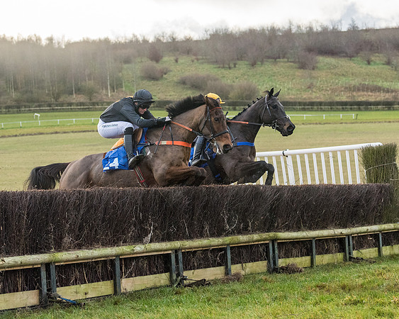 Race 6 - Jockey Club and ROR veteran Horse conditions Race. Division 2   (50 of 149)