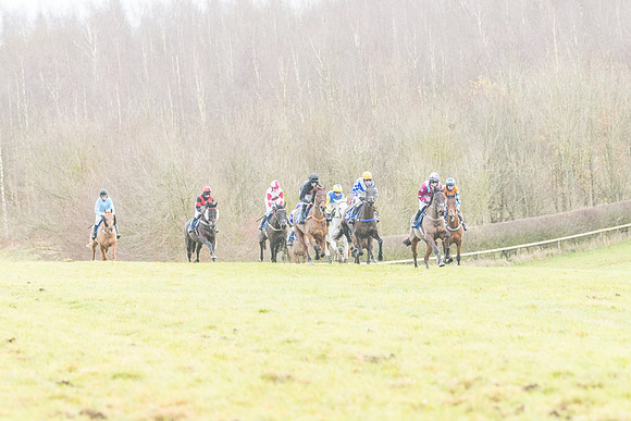 Race 6 - Jockey Club and ROR veteran Horse conditions Race. Division 2   (46 of 149)