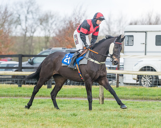 Race 6 - Jockey Club and ROR veteran Horse conditions Race. Division 2   (38 of 149)