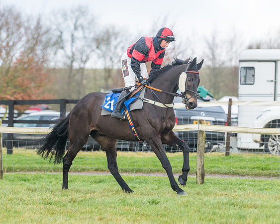 Race 6 - Jockey Club and ROR veteran Horse conditions Race. Division 2   (37 of 149)