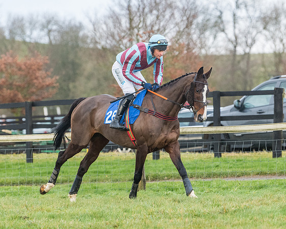 Race 6 - Jockey Club and ROR veteran Horse conditions Race. Division 2   (34 of 149)