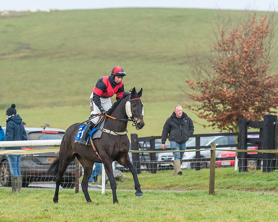 Race 6 - Jockey Club and ROR veteran Horse conditions Race. Division 2   (35 of 149)