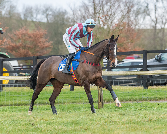 Race 6 - Jockey Club and ROR veteran Horse conditions Race. Division 2   (33 of 149)