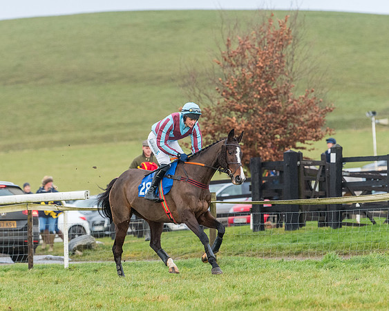 Race 6 - Jockey Club and ROR veteran Horse conditions Race. Division 2   (31 of 149)