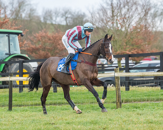 Race 6 - Jockey Club and ROR veteran Horse conditions Race. Division 2   (32 of 149)