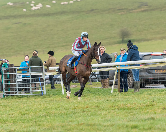 Race 6 - Jockey Club and ROR veteran Horse conditions Race. Division 2   (30 of 149)