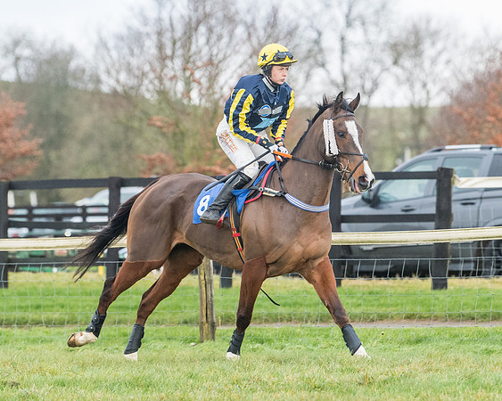 Race 6 - Jockey Club and ROR veteran Horse conditions Race. Division 2   (29 of 149)