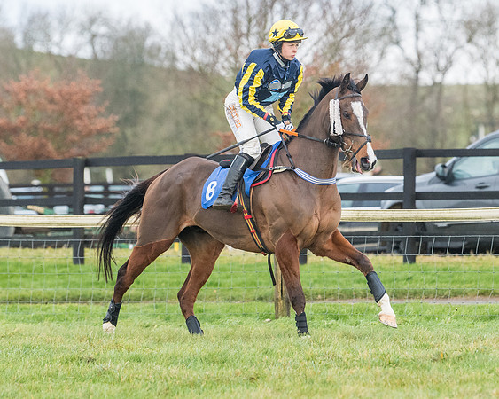 Race 6 - Jockey Club and ROR veteran Horse conditions Race. Division 2   (28 of 149)