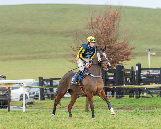 Race 6 - Jockey Club and ROR veteran Horse conditions Race. Division 2   (27 of 149)