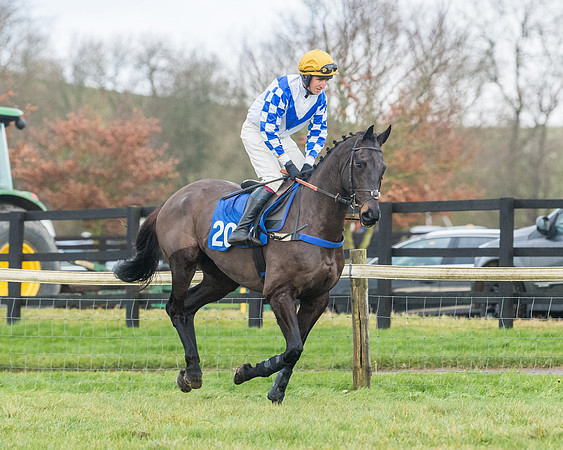 Race 6 - Jockey Club and ROR veteran Horse conditions Race. Division 2   (25 of 149)
