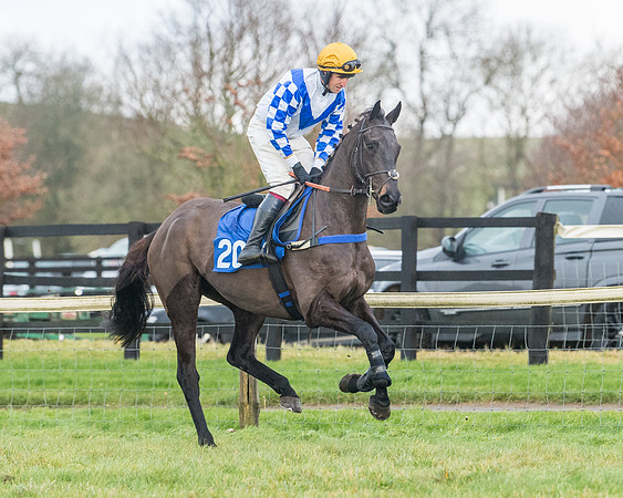 Race 6 - Jockey Club and ROR veteran Horse conditions Race. Division 2   (26 of 149)