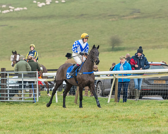 Race 6 - Jockey Club and ROR veteran Horse conditions Race. Division 2   (24 of 149)