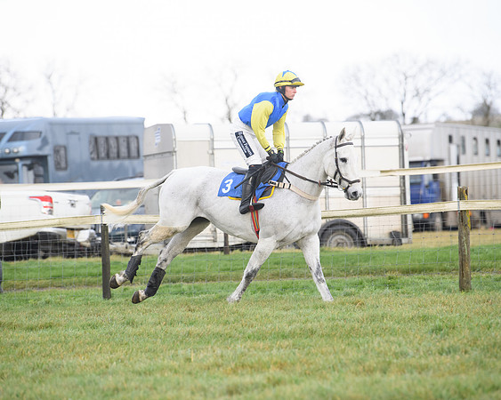 Race 6 - Jockey Club and ROR veteran Horse conditions Race. Division 2   (19 of 149)