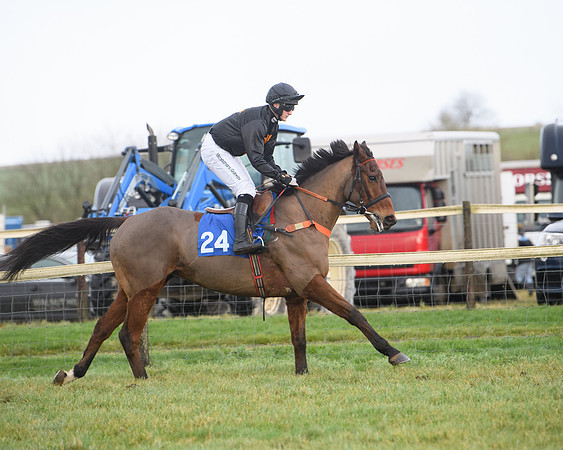 Race 6 - Jockey Club and ROR veteran Horse conditions Race. Division 2   (18 of 149)