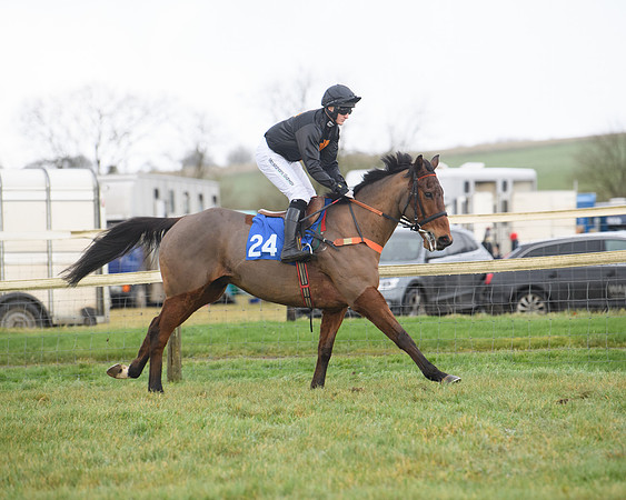 Race 6 - Jockey Club and ROR veteran Horse conditions Race. Division 2   (17 of 149)