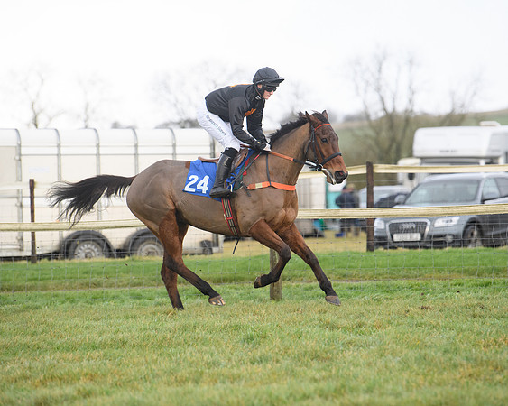 Race 6 - Jockey Club and ROR veteran Horse conditions Race. Division 2   (16 of 149)