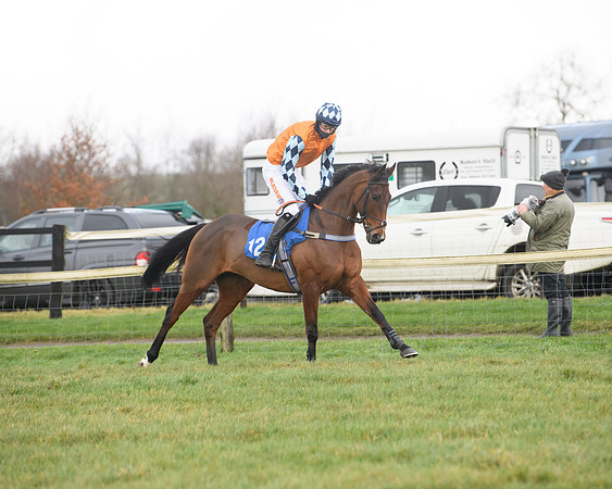 Race 6 - Jockey Club and ROR veteran Horse conditions Race. Division 2   (15 of 149)