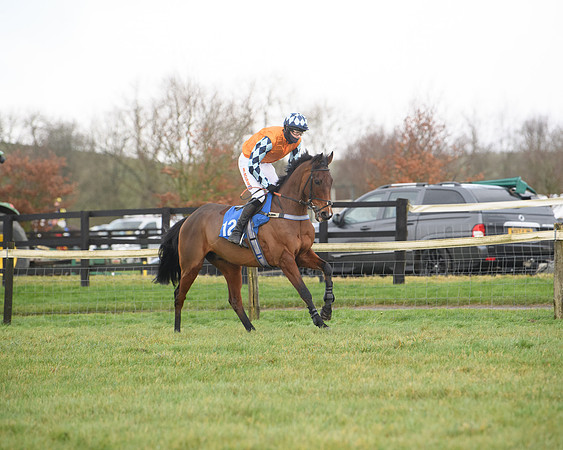Race 6 - Jockey Club and ROR veteran Horse conditions Race. Division 2   (13 of 149)