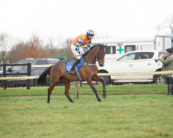 Race 6 - Jockey Club and ROR veteran Horse conditions Race. Division 2   (14 of 149)