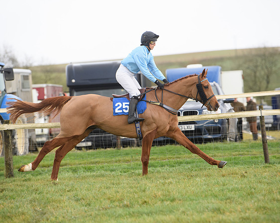 Race 6 - Jockey Club and ROR veteran Horse conditions Race. Division 2   (12 of 149)