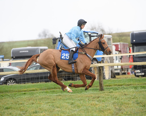 Race 6 - Jockey Club and ROR veteran Horse conditions Race. Division 2   (10 of 149)