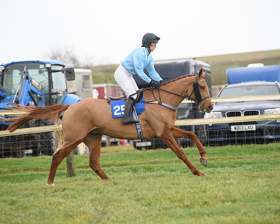 Race 6 - Jockey Club and ROR veteran Horse conditions Race. Division 2   (11 of 149)