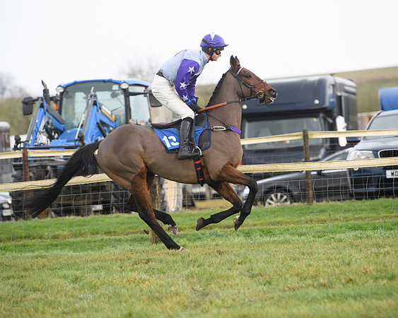Race 6 - Jockey Club and ROR veteran Horse conditions Race. Division 2   (6 of 149)