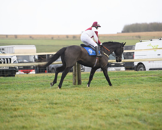 Race 6 - Jockey Club and ROR veteran Horse conditions Race. Division 2   (3 of 149)