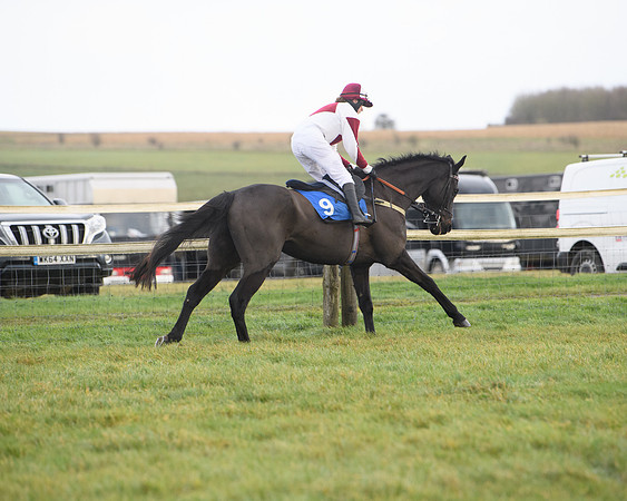 Race 6 - Jockey Club and ROR veteran Horse conditions Race. Division 2   (2 of 149)